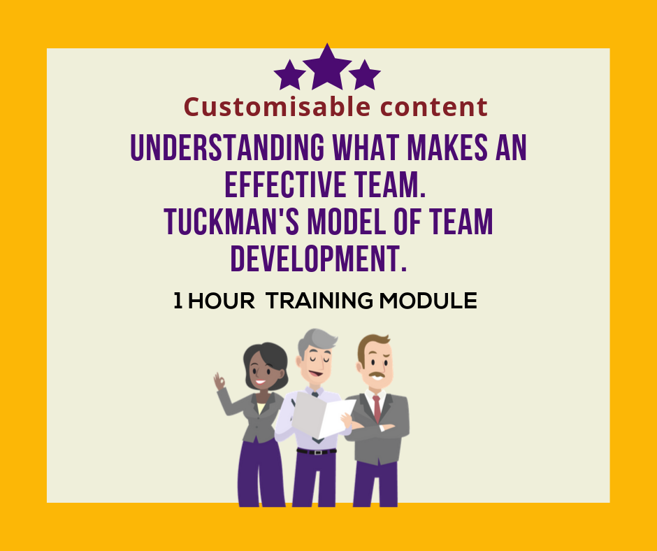 what is the definition of an effective team
